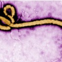 Hasbrouck Says Illinois is Still Ebola Free