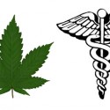 Medical Marijuana–Not on the Fast Track
