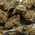 Use of medical marijuana closer for some patients