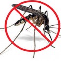 Protect yourself from West Nile