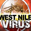 West Nile found … AGAIN