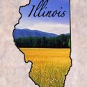 Here’s what’s happening in the State of Illinois