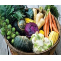 Fall vegetables? Not a bad idea.