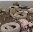 Using teamwork to clean the Vermilion River