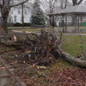 Ice, high winds leave behind damage