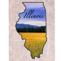 Here’s what’s happening in the State of Illinois