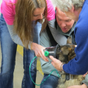 Duffy’s Ambulance Service receives animal rescue equipment
