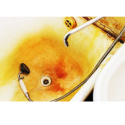 Cat’s Chat: Nastiest things you find in bathrooms