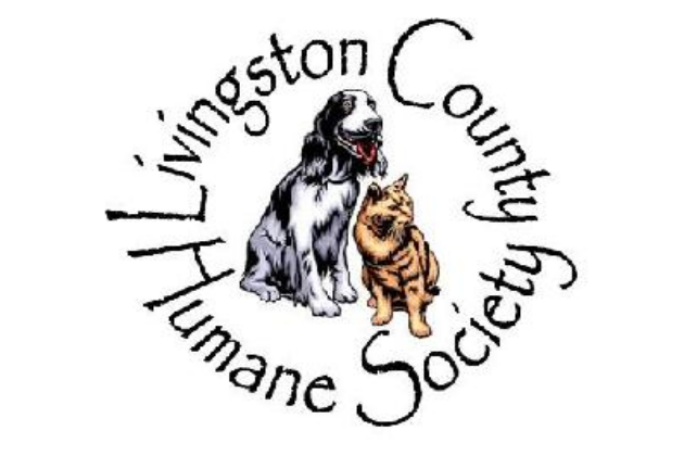 Oakland county humane society dodge cummins fuel filters