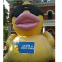Mighty Vermillion Duck Race happening July 30