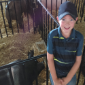 Words from a first year 4-H member