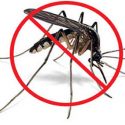 Ways to minimize mosquitoes