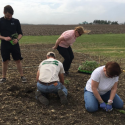 Growing Well Garden begins to sprout, thanks to local volunteers